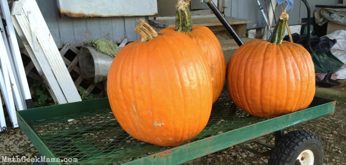 How Much Does a Pumpkin Cost? {FREE Algebra Lesson!}
