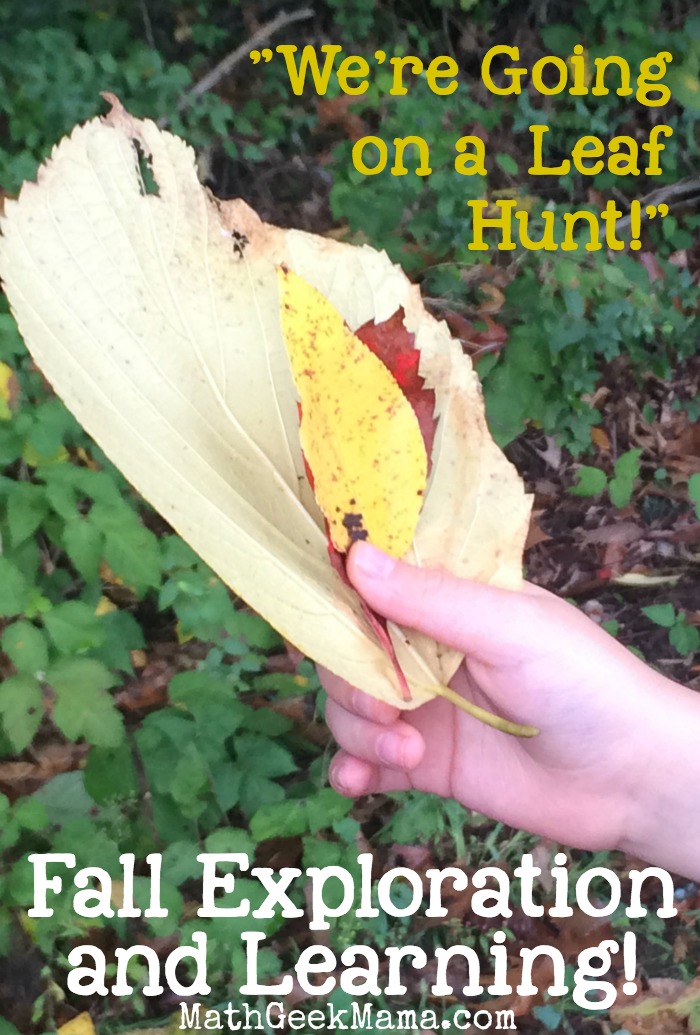 “We’re Going on a Leaf Hunt!” Fall Exploration Activity