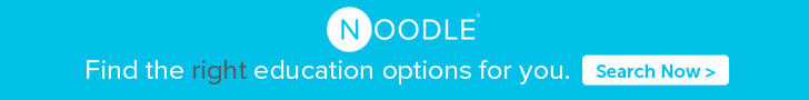Noodle